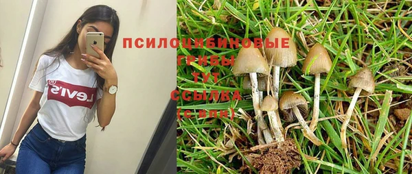 прущая мука Алексеевка