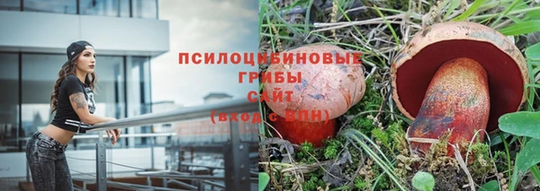 гидра Алзамай