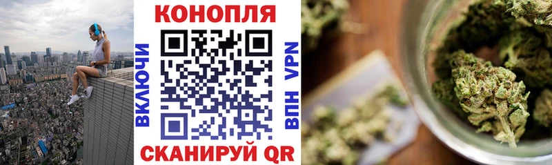 купить сайты Алзамай Конопля сатива